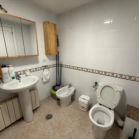 Apartamento Ps 43 Vut